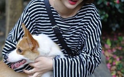 少年啦之零秒出手